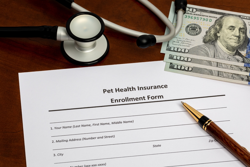 Pet,Health,Insurance,Form,With,Stethoscope,And,Cash,Money.,Pet