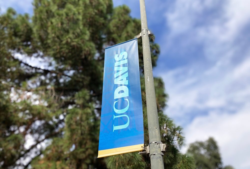 UC Davis Adopts ScribbleVet for Veterinary Facilities, Students