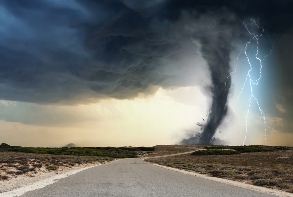 Tornado Destroys Kennels at Bristow Animal Rescue; All Dogs and Farm Animals Safe