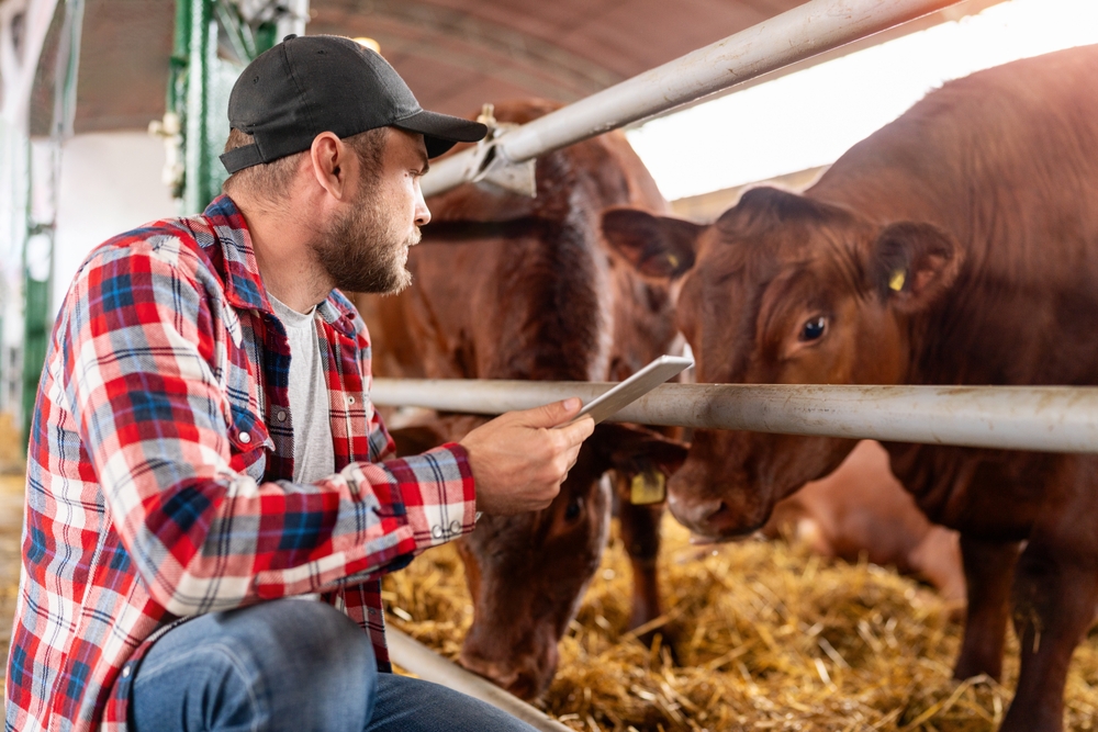 Ranchers Will Soon Need to Beef Up Traceability with Electronic Cattle ID Tags