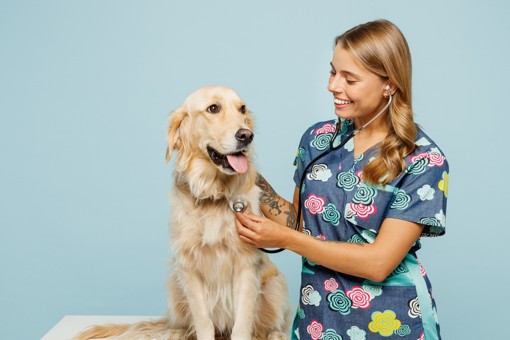 Young,Cheerful,Happy,Veterinarian,Woman,She,Wearing,Uniform,Heal,Exam