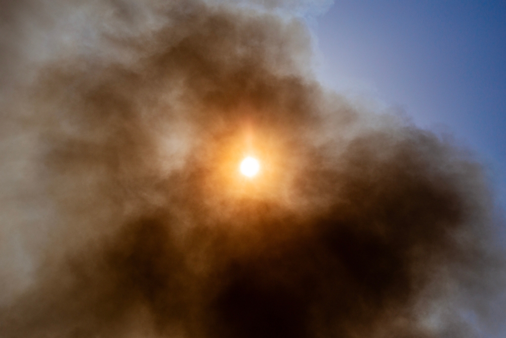 New CSU Project Studies How Dogs are Impacted by Wildfire Smoke, Poor Air Quality
