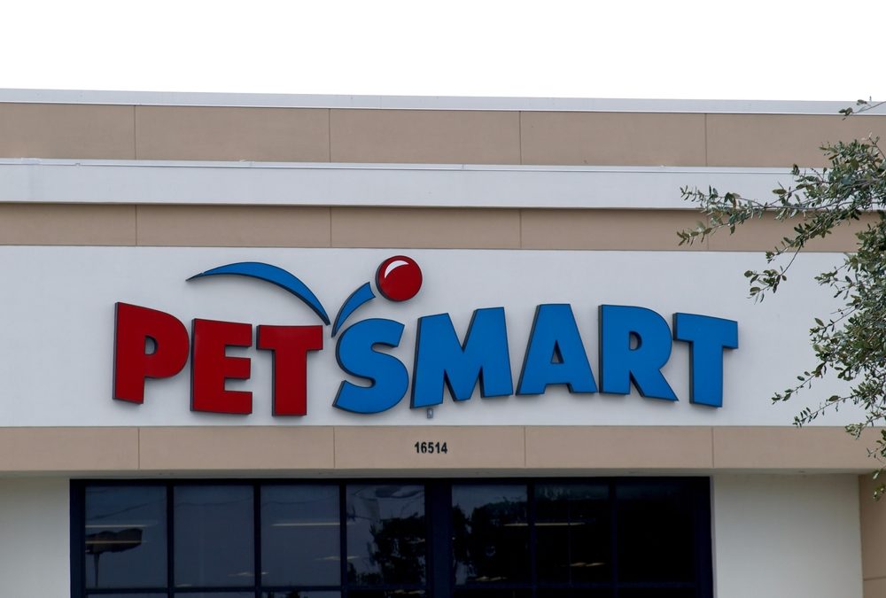 PetSmart Kicks Off Search for Its Next ‘Chief Toy Tester’