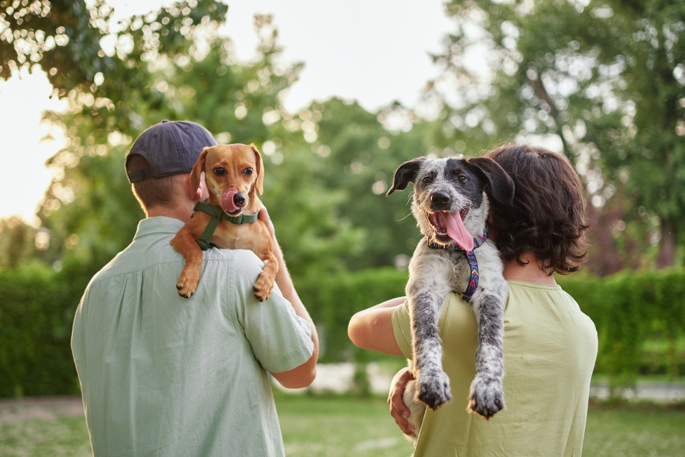 No, Waving Adoption Fees Does Not Create a Poor Outcome for Animals