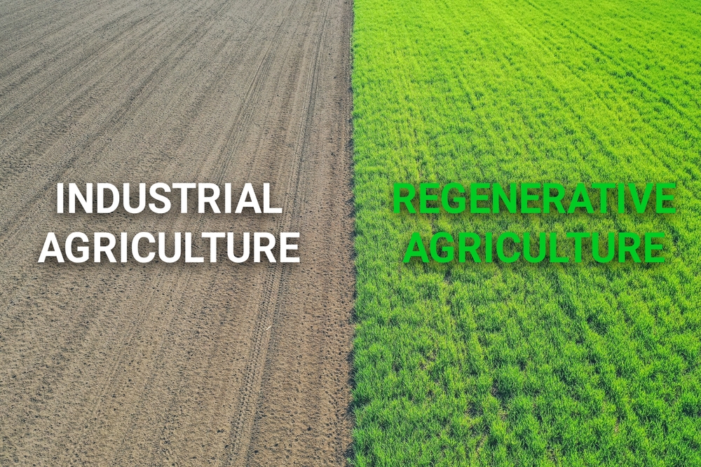 Regenerative Farms ‘More Productive and Efficient’, European Study Shows
