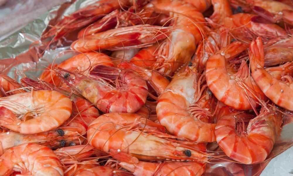 AquaExpo Panel: Retailers’ Increasing Shrimp Welfare Demands Will Require Cooperation Across the Supply Chain