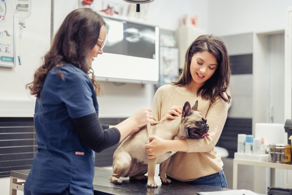 New Perspectives: Why Veterinary Care is so Much More Than You May Think