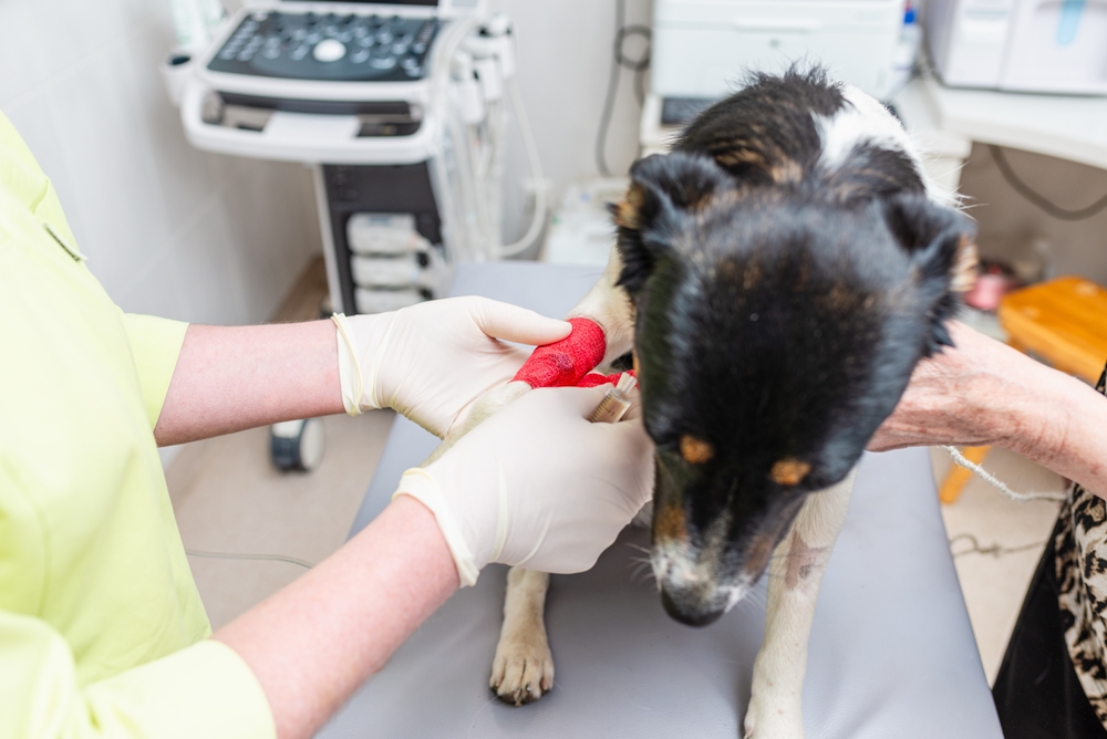 Oncology Guidelines Contributors