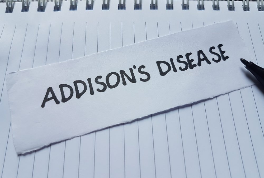 The Great Pretender: Understanding Addison’s Disease in Dogs