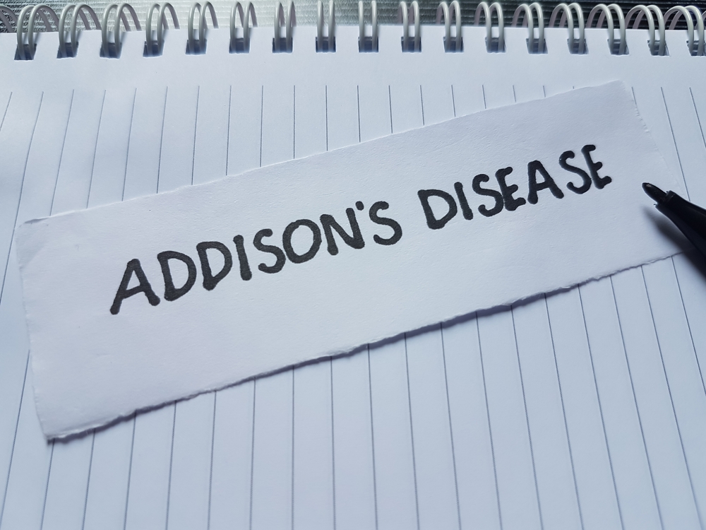 The Great Pretender: Understanding Addison’s Disease in Dogs - Animal ...