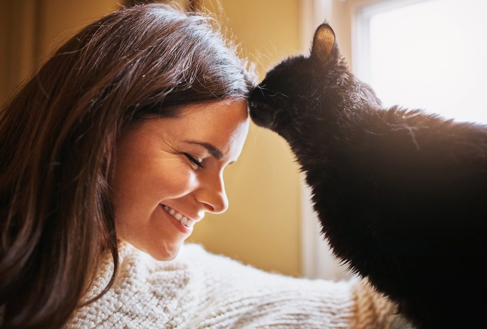 Why Companies Are Doubling Down On a Pet-Related Job Perk