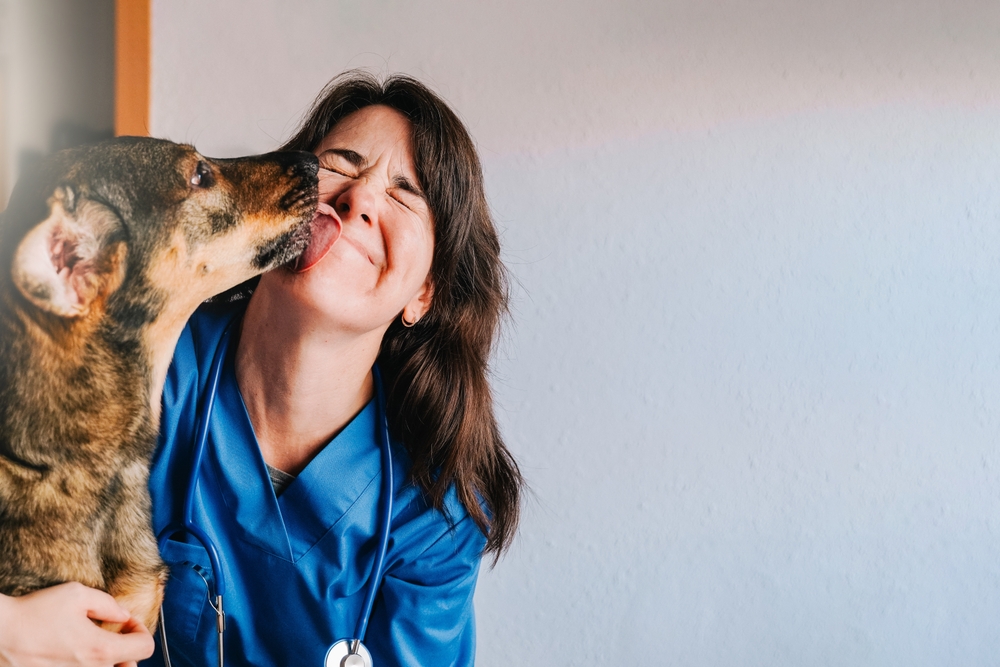 Veterinarian,,Happy,Stray,Dog,Licking,Vet,Woman,Doctor,Face,Inside