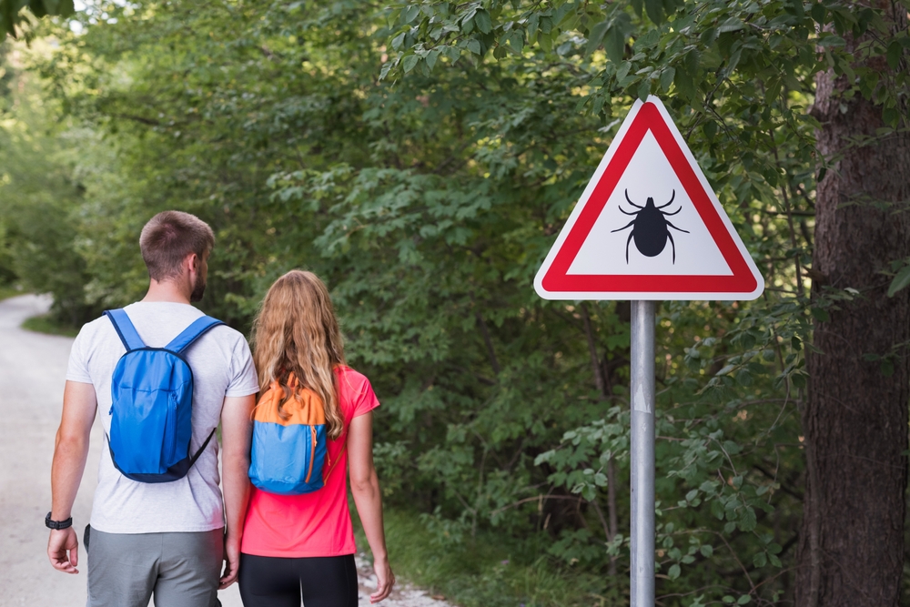 Couple,With,Backpacks,On,A,Hiking,Route,,Standing,In,Front