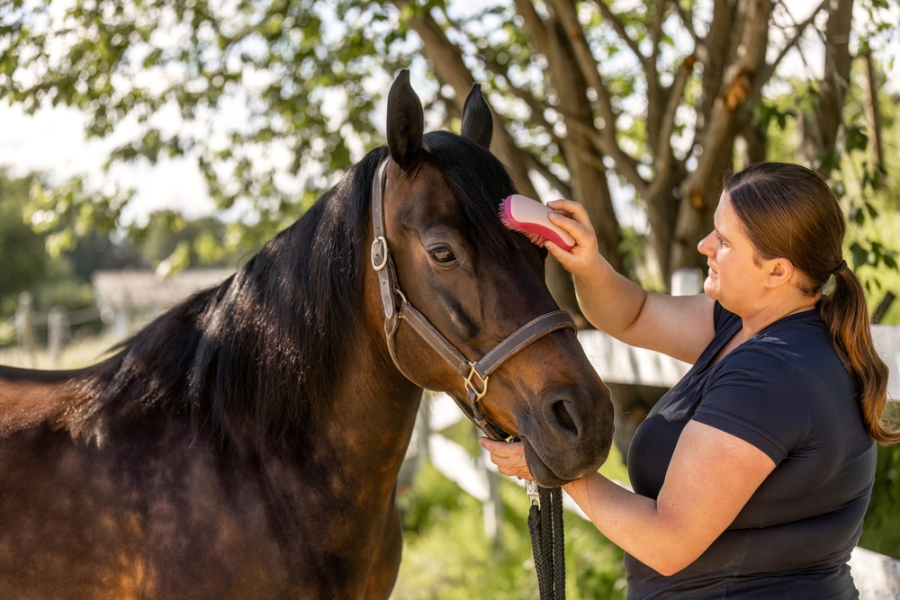 Equine Ownership Costs