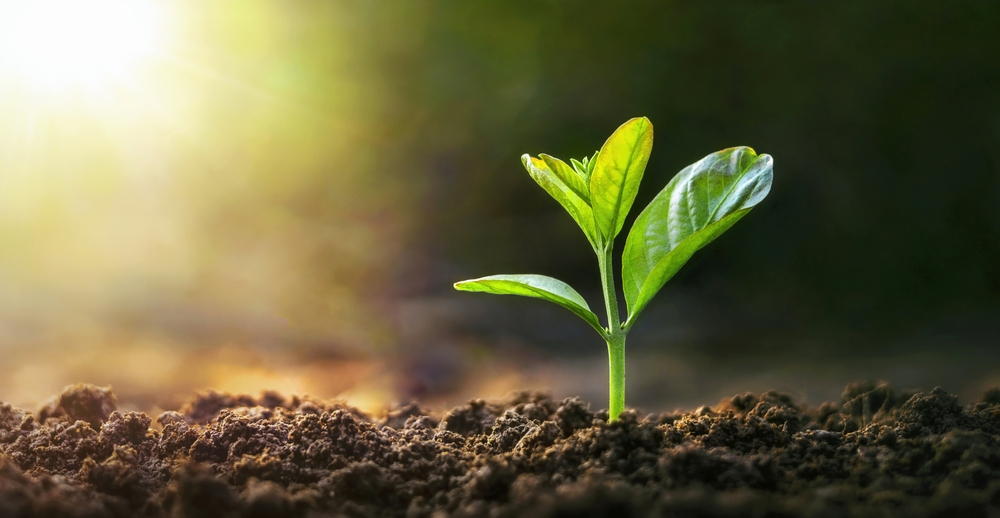 ADM and Mitsubishi Explore “Strategic” Alliance in Agriculture
