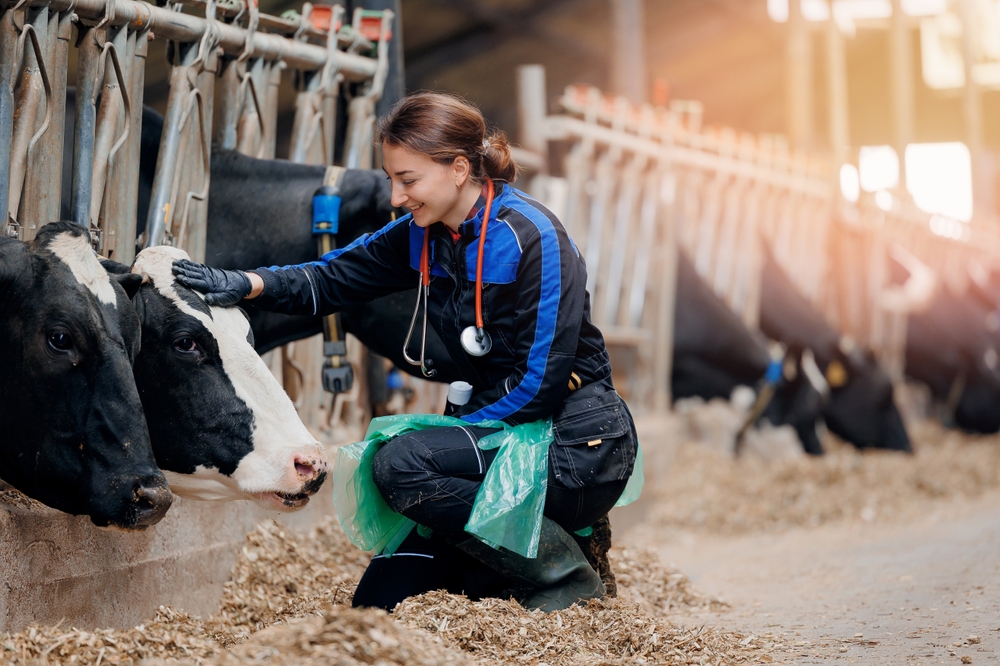 Rural Veterinarian Incentive Program