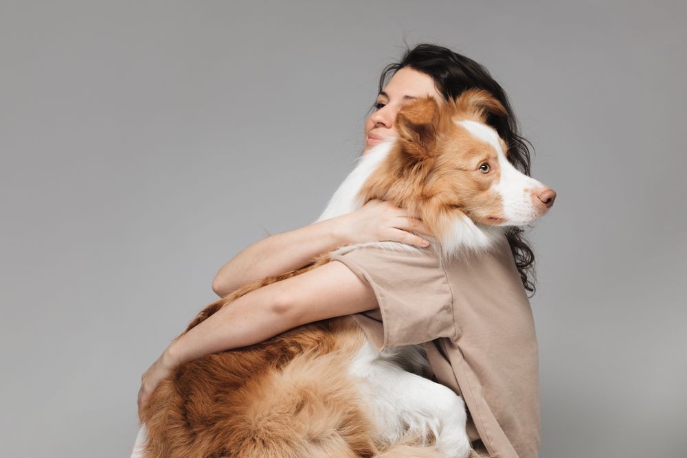 New York Judge Declares Dog An Immediate Family Member