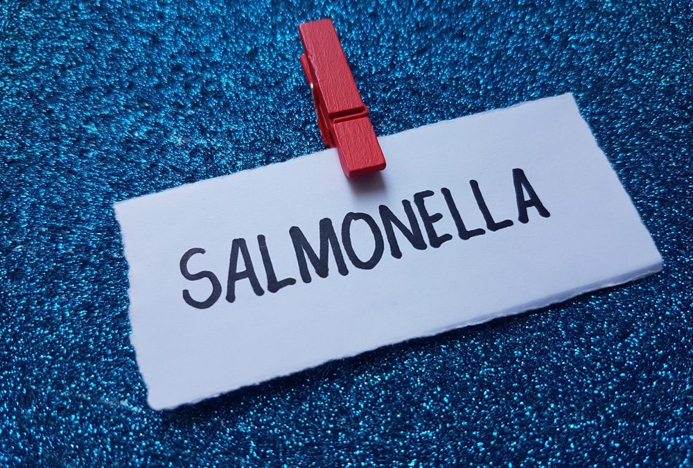 Salmonella,Writting,On,Blue,Background.