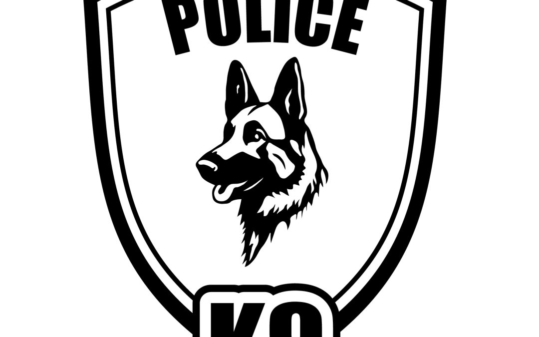 Hawaii Island Police Investigating Death of Narcotics K9 Left in Vehicle