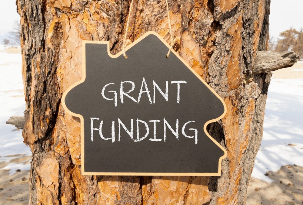 Rhode Island Foundation Awards $636,000 in Grants for Animal Welfare