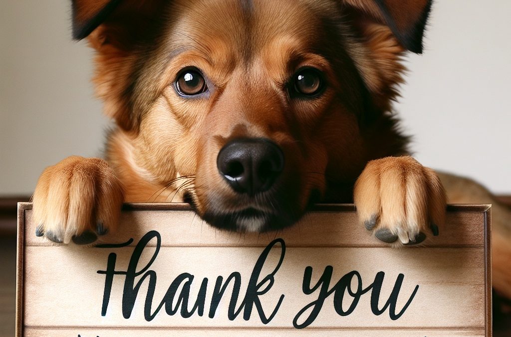 How Do Dogs Say “Thank You”? 5 Gratitude Behaviors (Vet Approved)