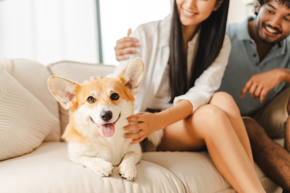 Mars Unveils the World’s Largest Pet Parent Study