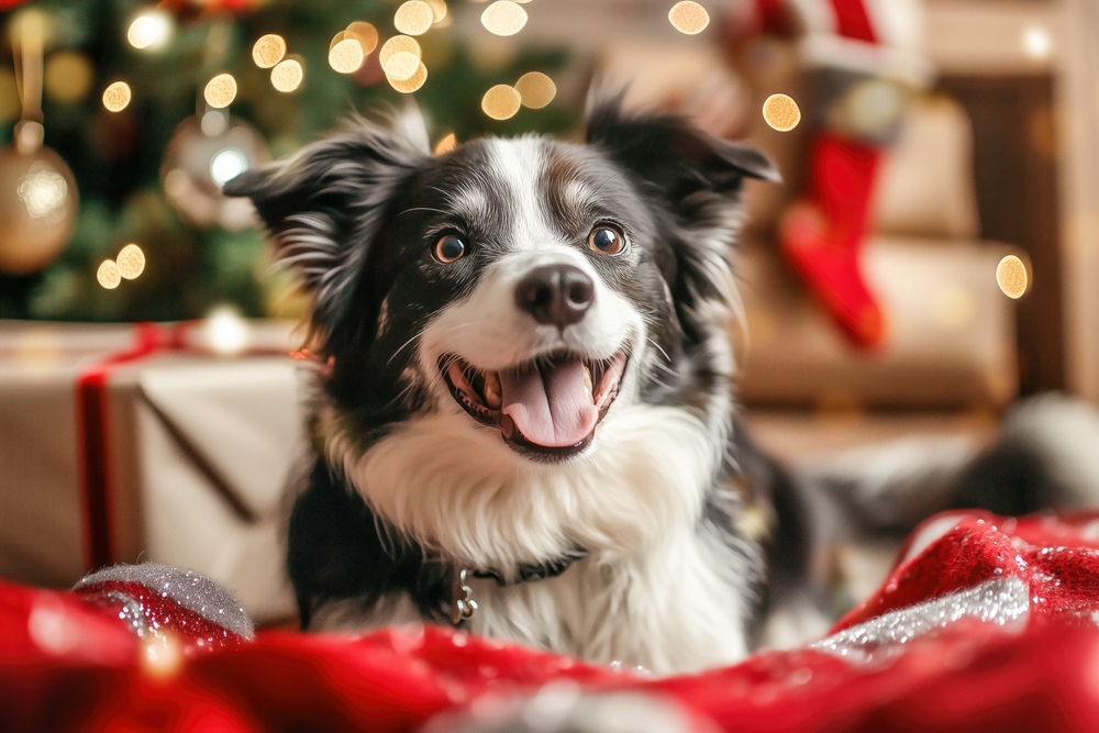 Merry and Bright or Holiday Fright? Holiday Safety Tips for Clients and Their Pets