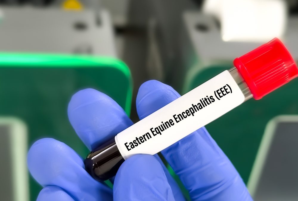 Michigan Confirms Second Horse with Eastern Equine Encephalitis in 2026