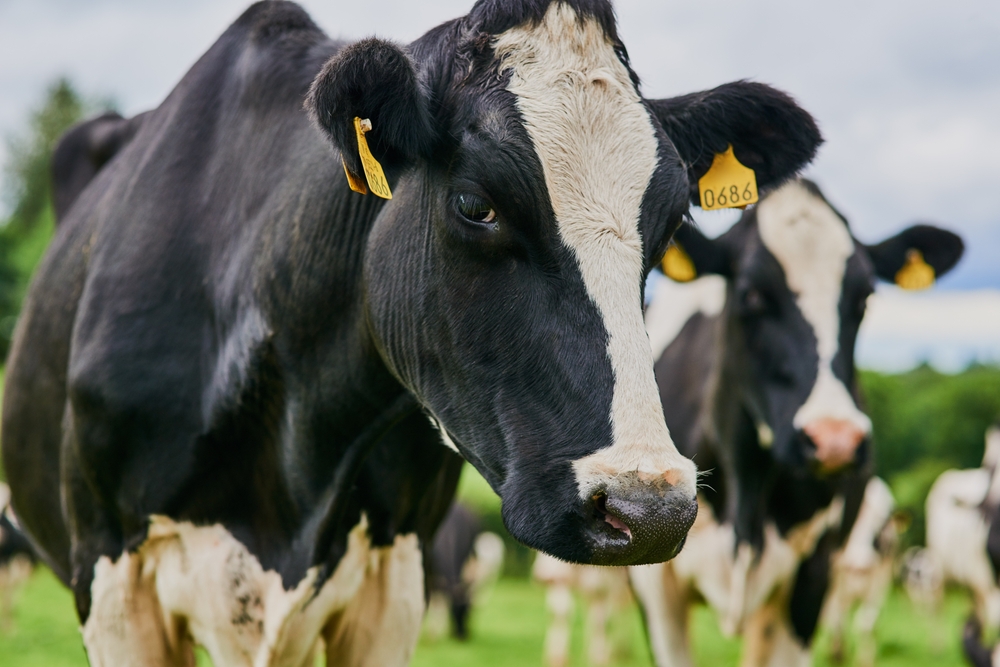 A New Approach to Deworming