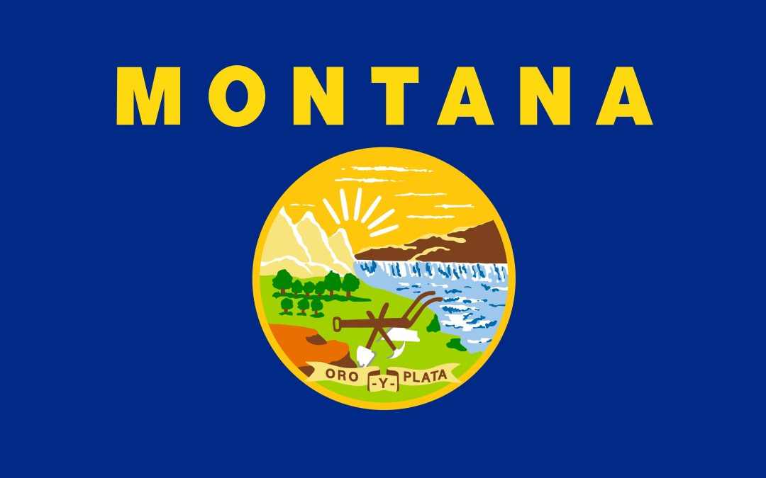 Bill Regulating Pet Insurance in Montana Receives Positive Reception