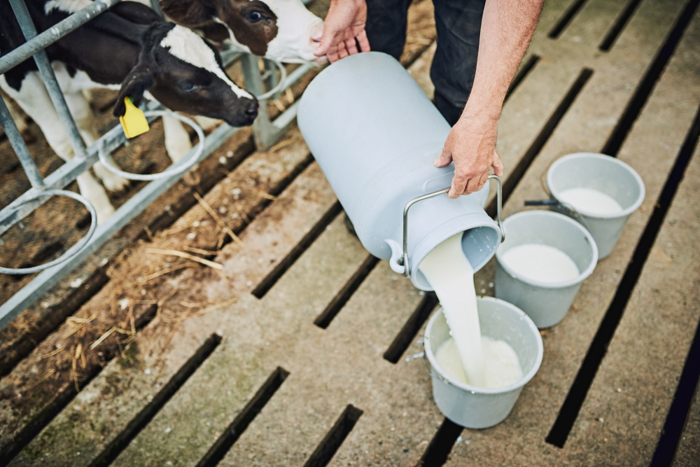 Florida Dairy Farm Identified as Source of Raw Milk E. Coli Outbreak. Is Raw Milk Safe?