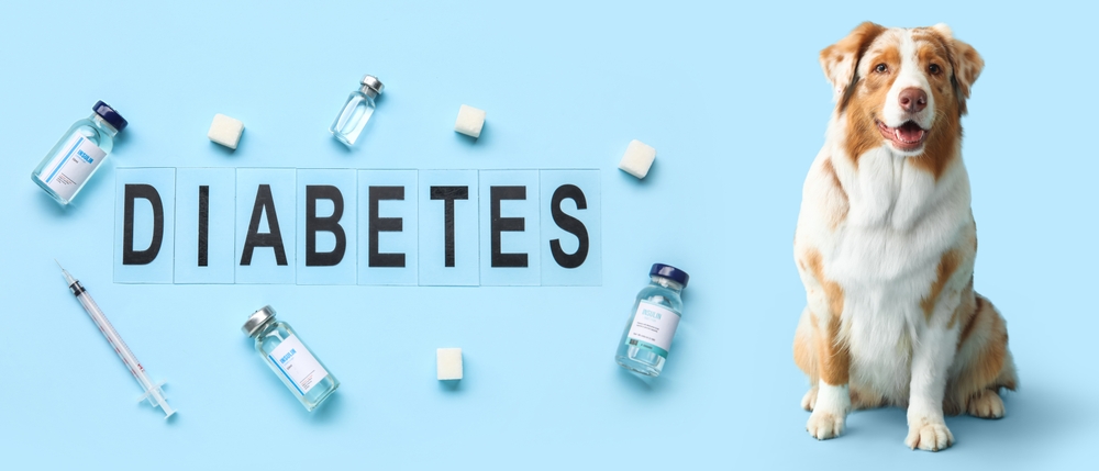 AAHA Updates Canine Diabetes Management Guidelines