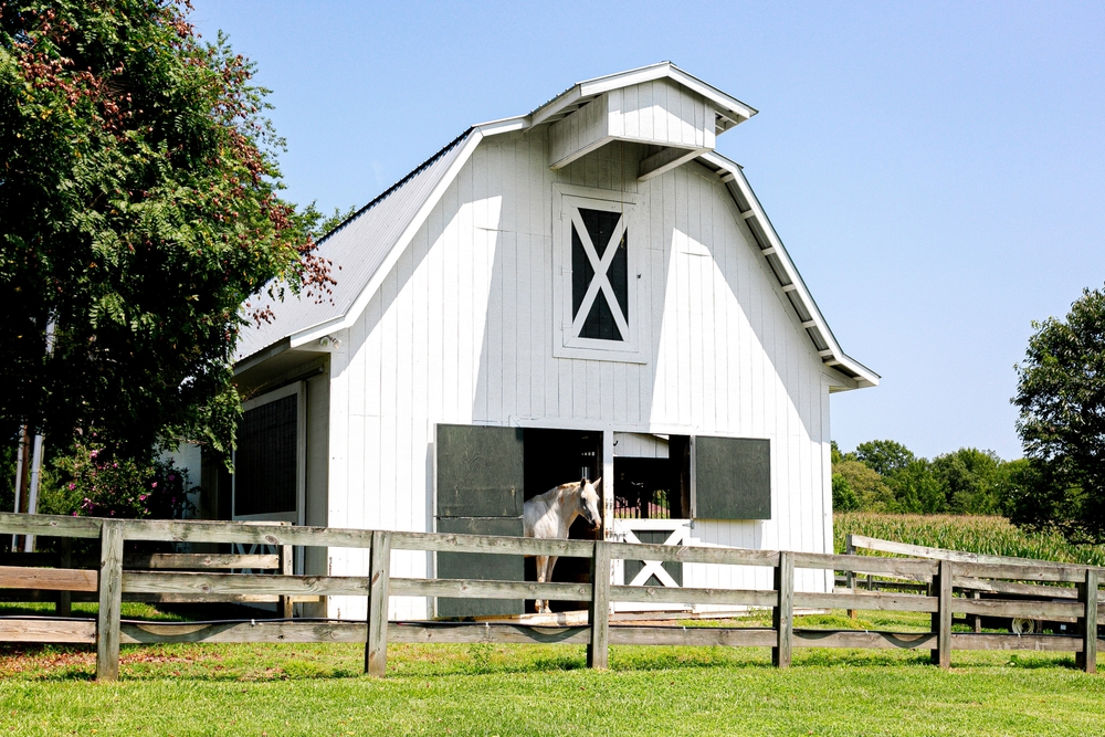 Novel Kirkovirus May Be Associated with Colitis in Horses