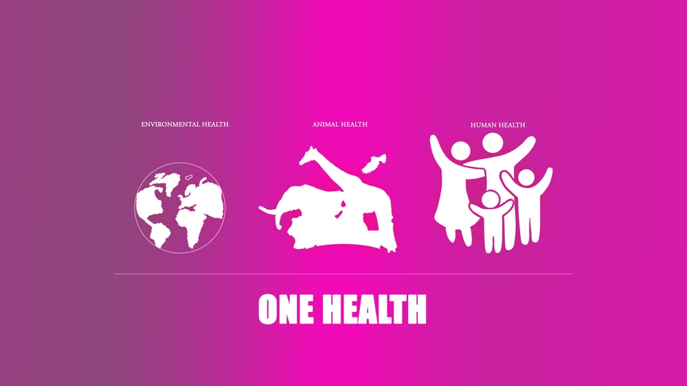 Integrating Human and Animal Health Care Increases Access to Services for Homeless Youth