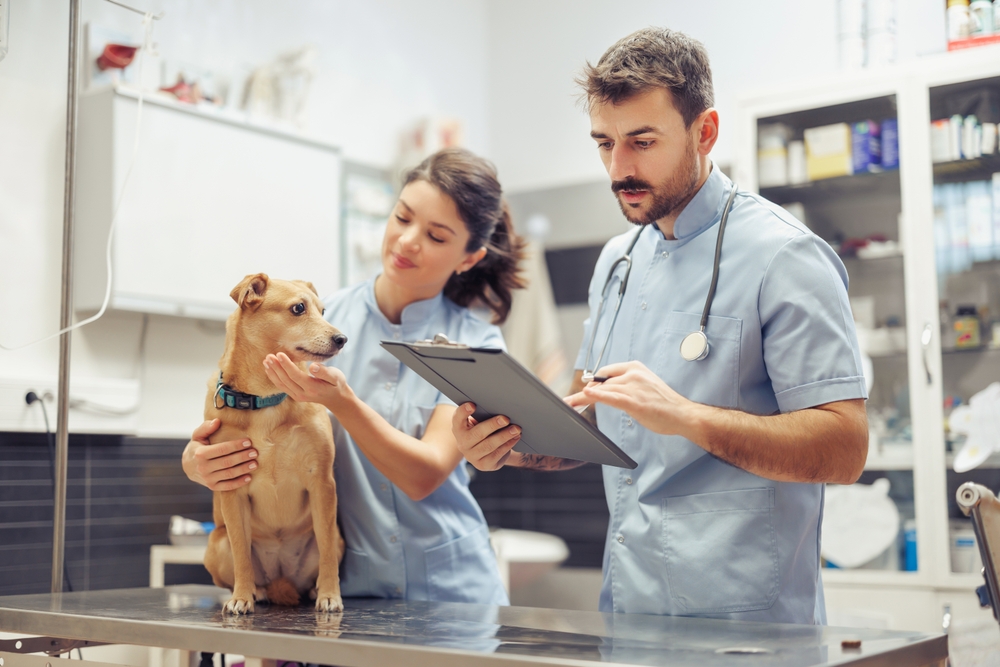 A History of Veterinary Medicine as America Celebrates its 250th Anniversary