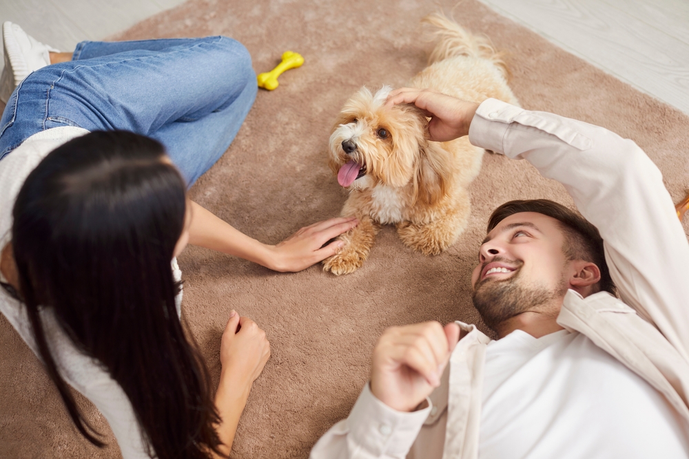 How Pets Are Reshaping Employee Benefits