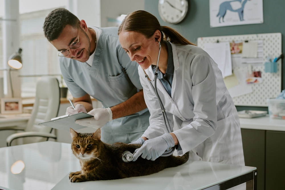 Midlevel Practitioners: Current Status and Clinical Impact