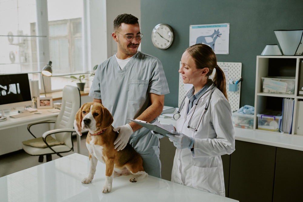 Comments Sought on Veterinary Technician Educational Standards