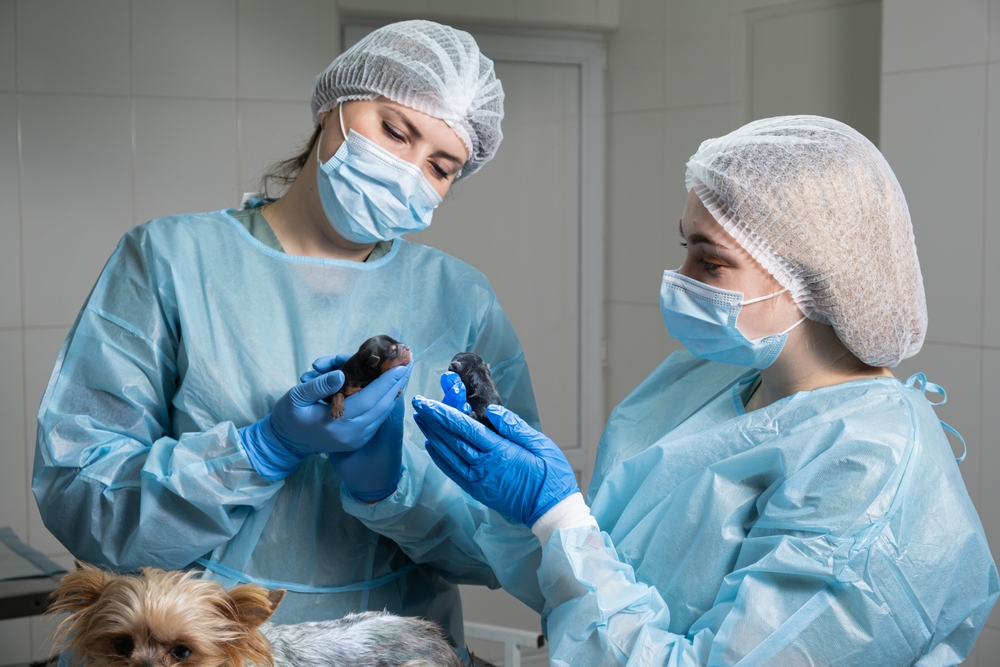 Small Patients, Specific Protocols: Implementing the RECOVER Newborn Resuscitation Guidelines