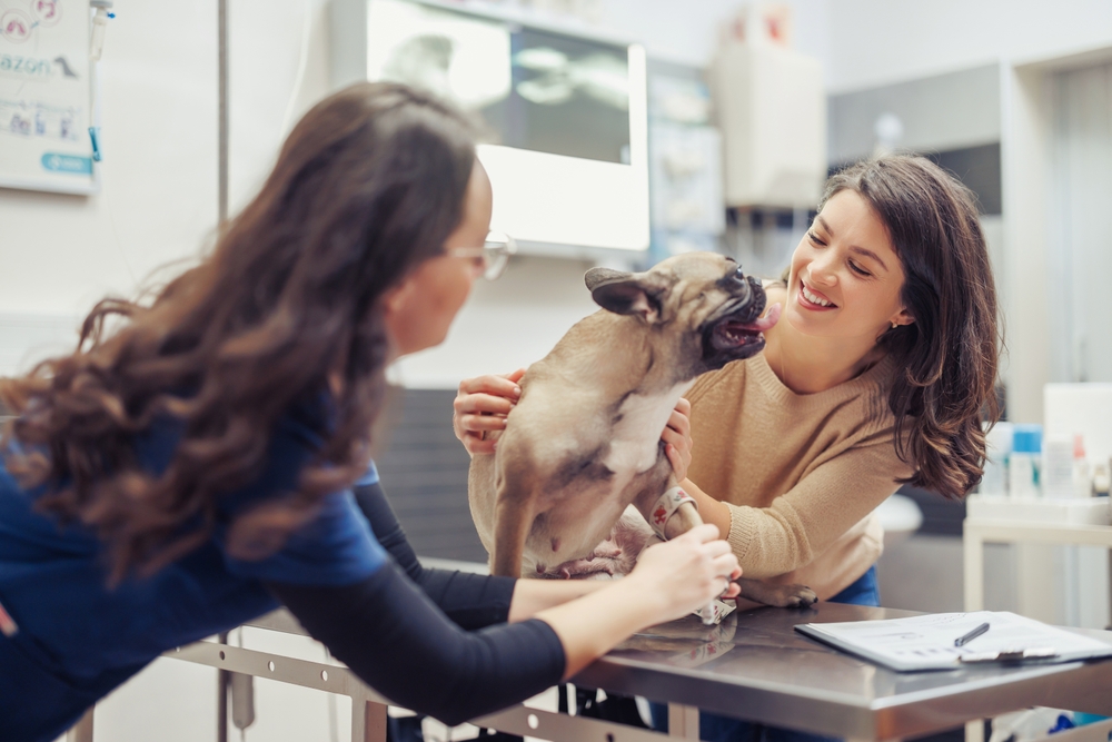 NAVTA Does Not Support VPA/MLP Model, Says Credentialed Tech-Centered Career Pathway Is the Way to Go