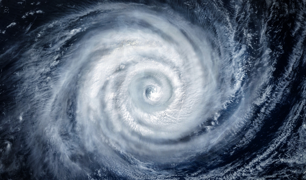 A Lesson Learned After Pets were Left Behind in Hurricane Katrina: Save the Animals