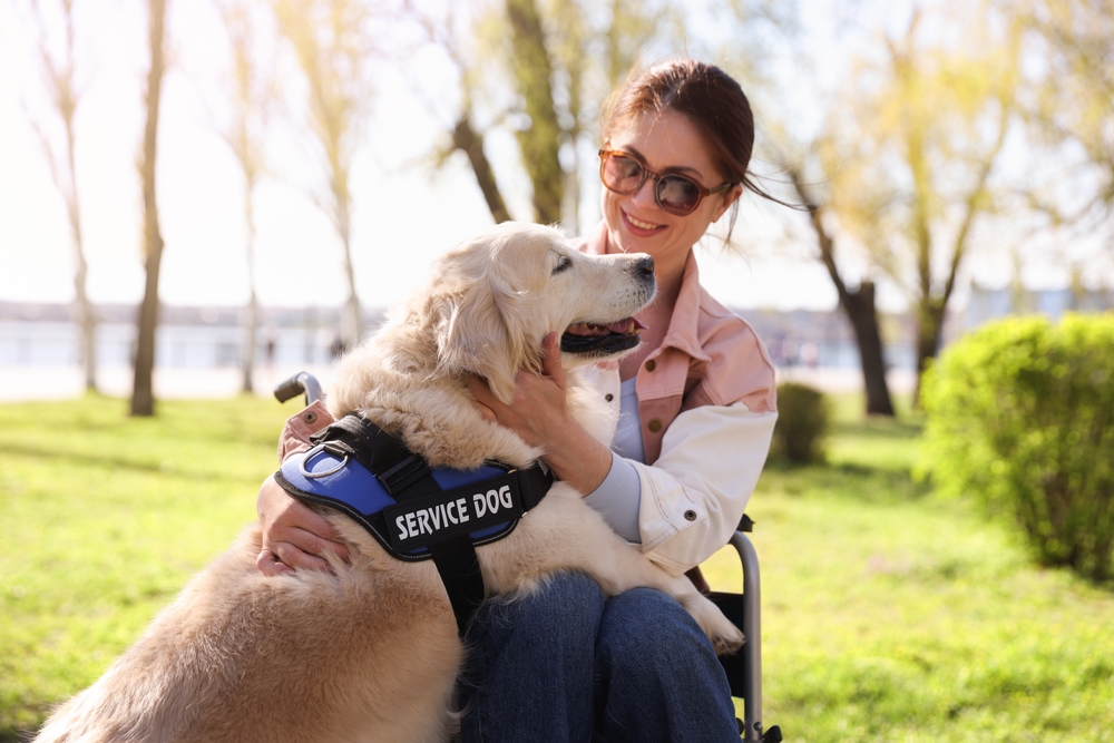 New Mexico Organization Sees Increased Need for Service Dogs Post-COVID