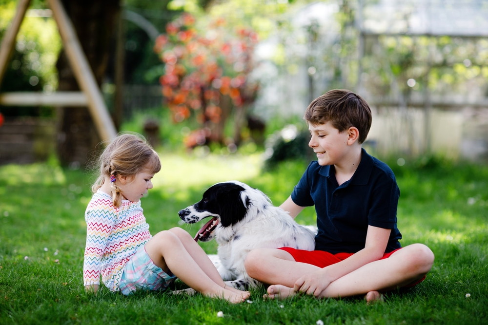 Keeping Kids and Canines Safe Together
