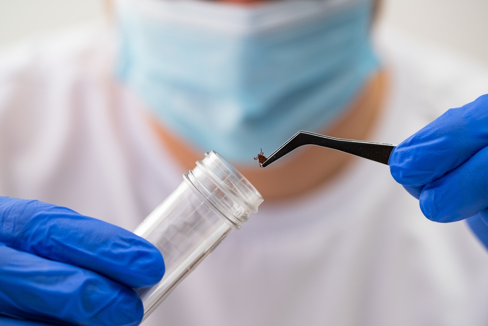 Ohio State Combats Asian Longhorned Tick With New Tick Testing Service, Other Research Efforts
