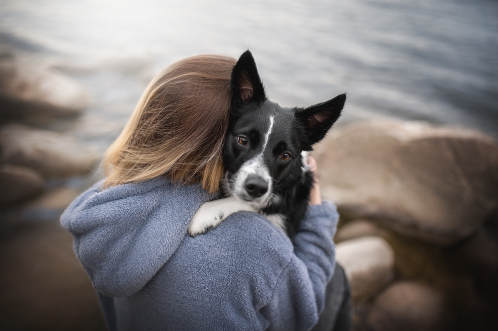 A Pilot Study to Examine the Impact of a Therapy Dog Intervention on Loneliness and Related Health Outcomes in Patients with Mental Illness