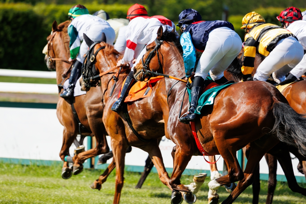 Group,Of,Jockeys,Racing,On,Thoroughbred,Horses,By,Green,Grass