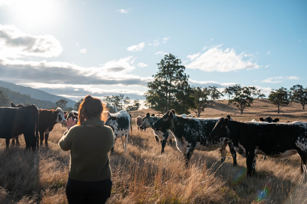 OSU College of Veterinary Medicine Using Student Mentorship to Boost Career Interest