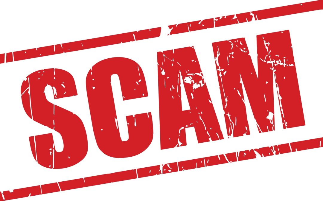 Scammers Are Using AI-Generated Photos in Lost Pet Scheme, Here’s How