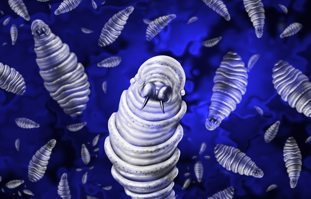 Pennsylvania Issues Quarantine Order After New World Screwworm Cases Confirmed in U.S.