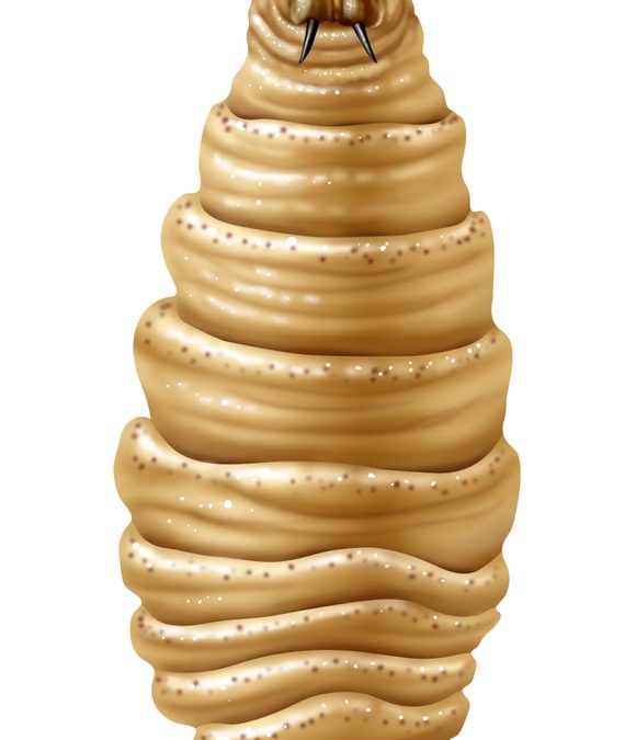 USDA Launches Centralized New World Screwworm Website